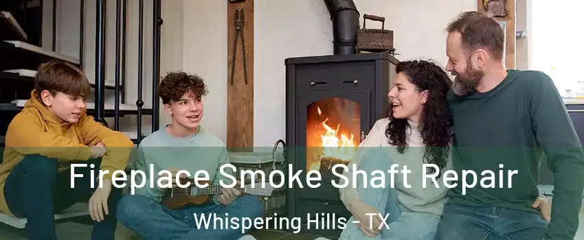 Fireplace Smoke Shaft Repair Whispering Hills - TX