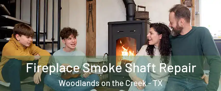 Fireplace Smoke Shaft Repair Woodlands on the Creek - TX