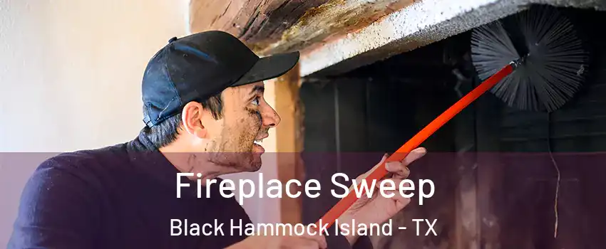 Fireplace Sweep Black Hammock Island - TX
