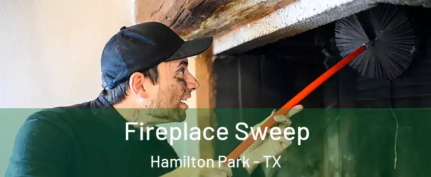 Fireplace Sweep Hamilton Park - TX