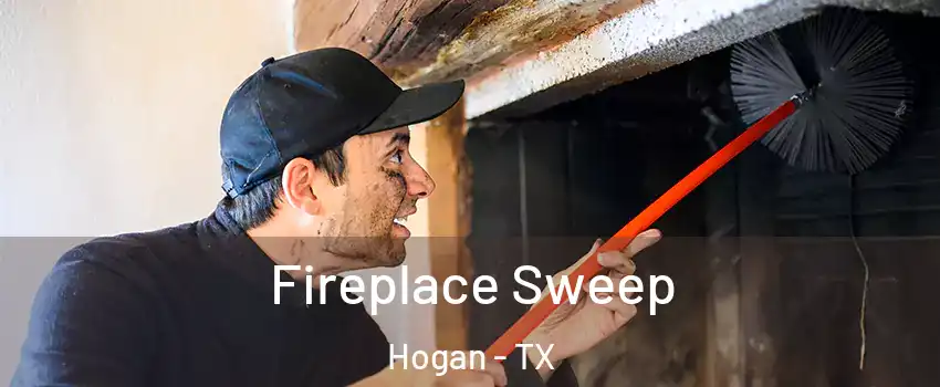 Fireplace Sweep Hogan - TX
