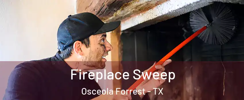 Fireplace Sweep Osceola Forrest - TX