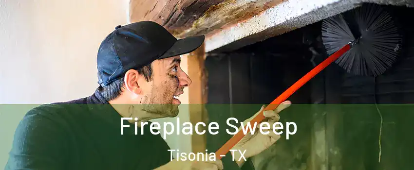 Fireplace Sweep Tisonia - TX