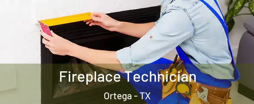 Fireplace Technician Ortega - TX