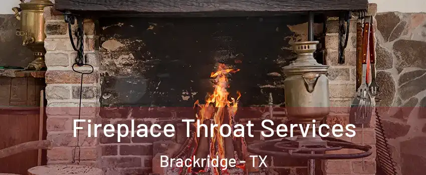 Fireplace Throat Services Brackridge - TX