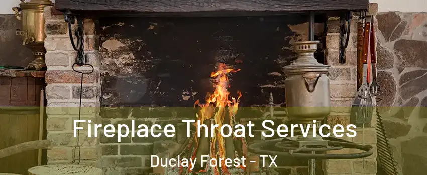 Fireplace Throat Services Duclay Forest - TX