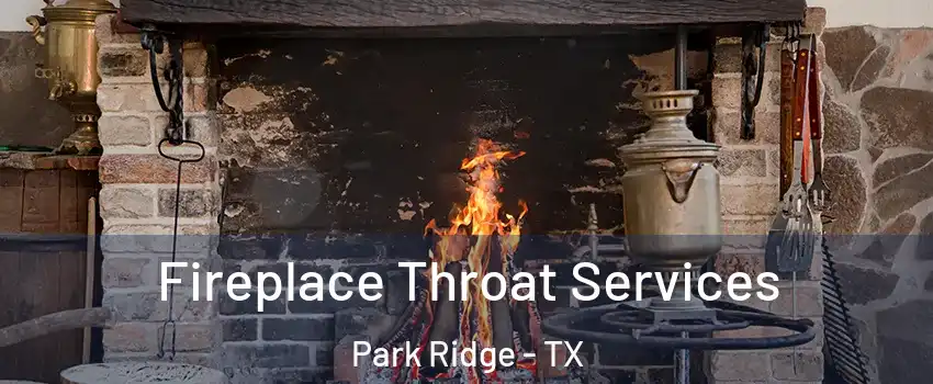 Fireplace Throat Services Park Ridge - TX