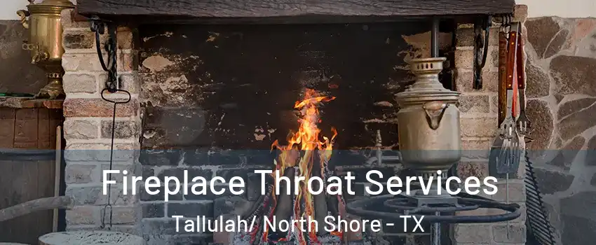 Fireplace Throat Services Tallulah/ North Shore - TX