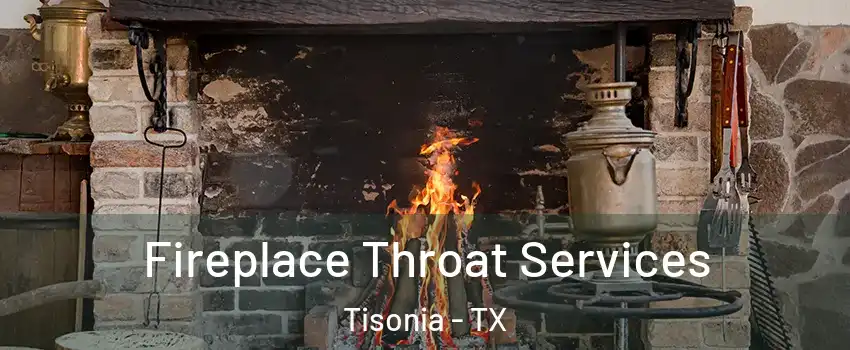 Fireplace Throat Services Tisonia - TX