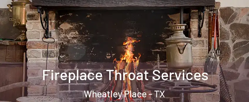 Fireplace Throat Services Wheatley Place - TX