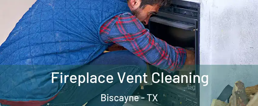 Fireplace Vent Cleaning Biscayne - TX
