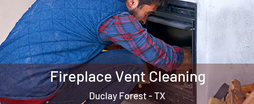 Fireplace Vent Cleaning Duclay Forest - TX
