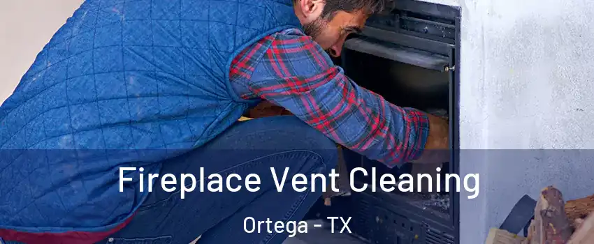 Fireplace Vent Cleaning Ortega - TX