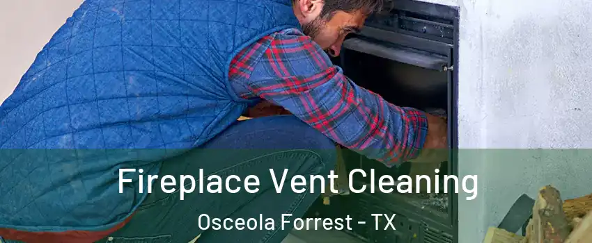 Fireplace Vent Cleaning Osceola Forrest - TX