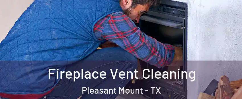 Fireplace Vent Cleaning Pleasant Mount - TX