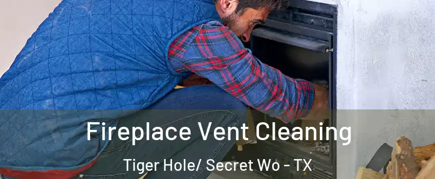 Fireplace Vent Cleaning Tiger Hole/ Secret Wo - TX
