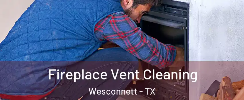 Fireplace Vent Cleaning Wesconnett - TX