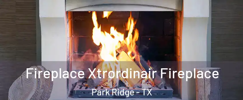 Fireplace Xtrordinair Fireplace Park Ridge - TX