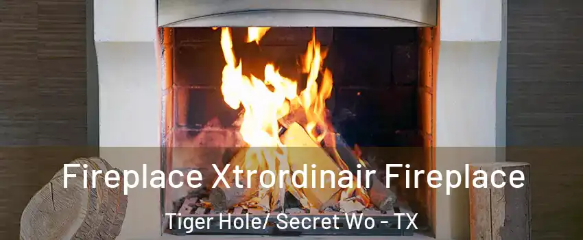 Fireplace Xtrordinair Fireplace Tiger Hole/ Secret Wo - TX