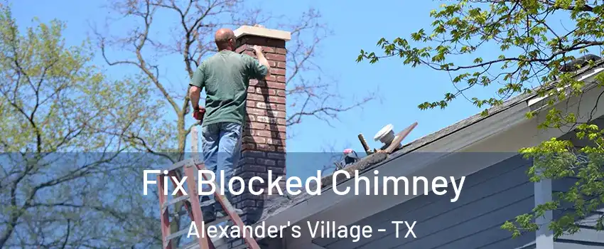 Fix Blocked Chimney Alexander's Village - TX