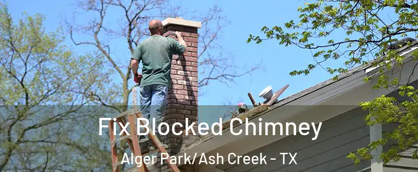 Fix Blocked Chimney Alger Park/Ash Creek - TX