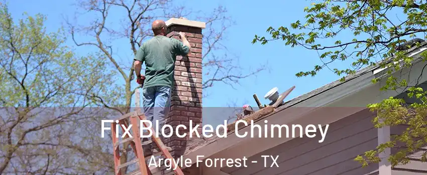 Fix Blocked Chimney Argyle Forrest - TX