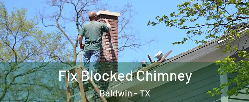Fix Blocked Chimney Baldwin - TX
