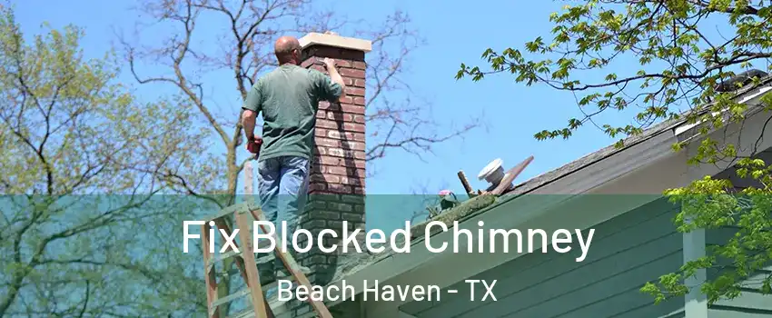 Fix Blocked Chimney Beach Haven - TX
