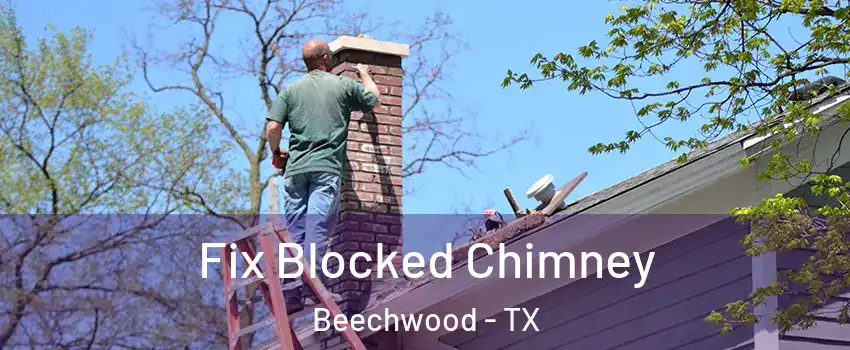 Fix Blocked Chimney Beechwood - TX