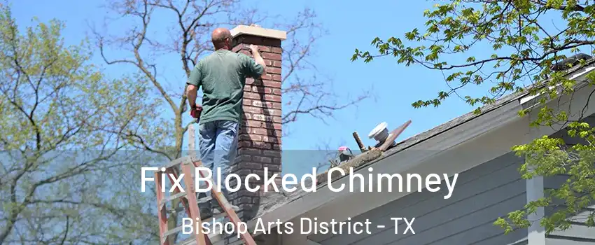 Fix Blocked Chimney Bishop Arts District - TX