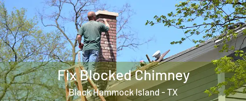 Fix Blocked Chimney Black Hammock Island - TX