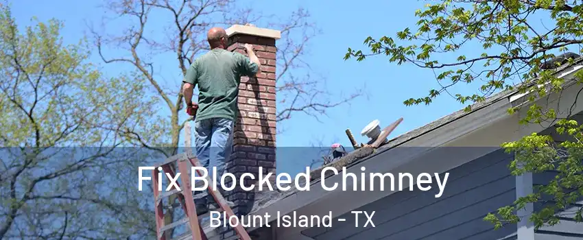Fix Blocked Chimney Blount Island - TX