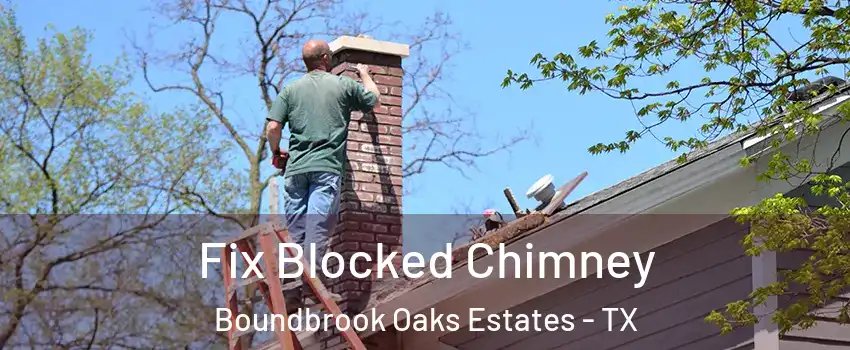 Fix Blocked Chimney Boundbrook Oaks Estates - TX