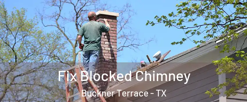 Fix Blocked Chimney Buckner Terrace - TX