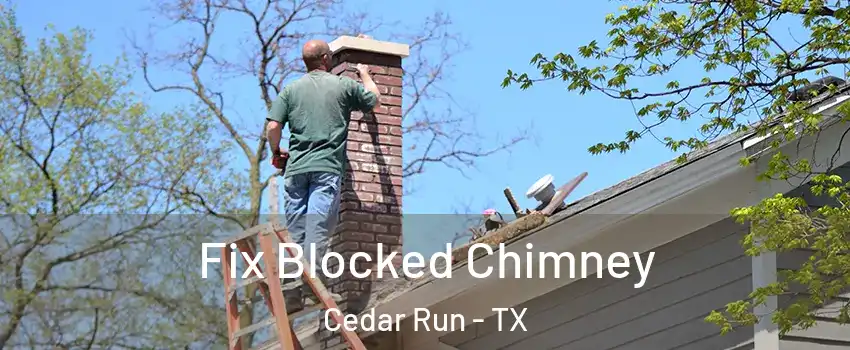 Fix Blocked Chimney Cedar Run - TX