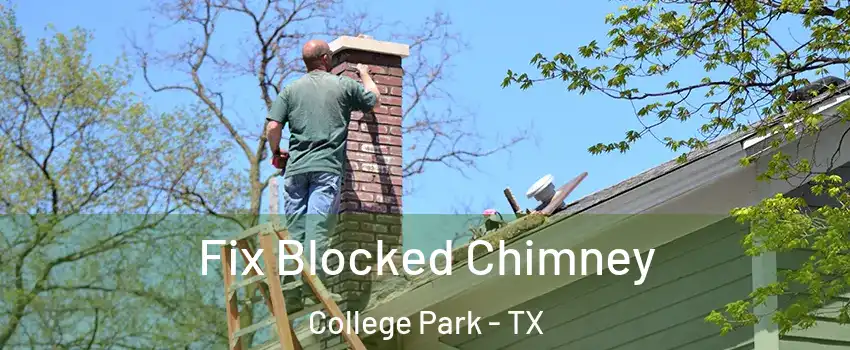 Fix Blocked Chimney College Park - TX