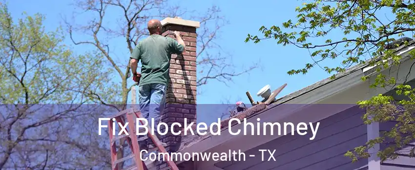 Fix Blocked Chimney Commonwealth - TX
