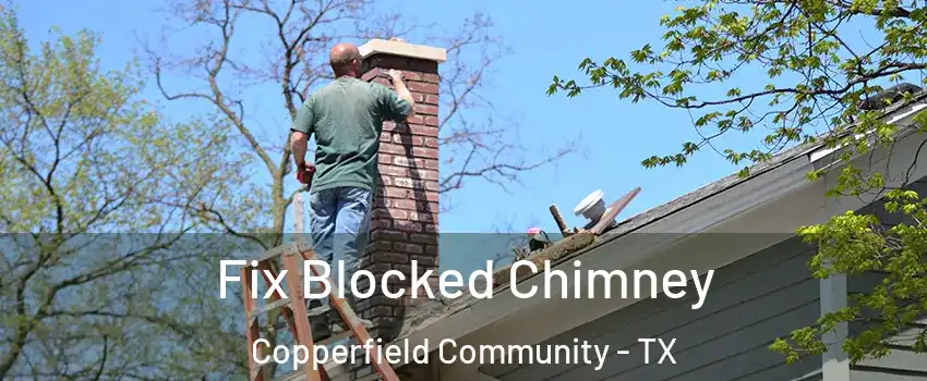 Fix Blocked Chimney Copperfield Community - TX
