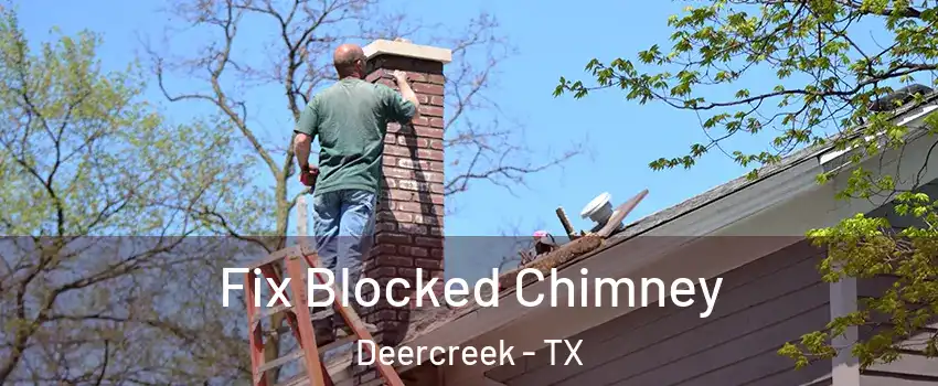 Fix Blocked Chimney Deercreek - TX
