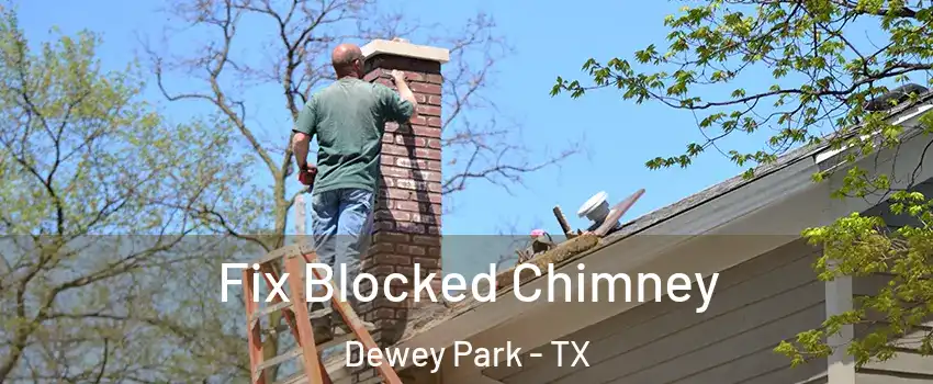 Fix Blocked Chimney Dewey Park - TX