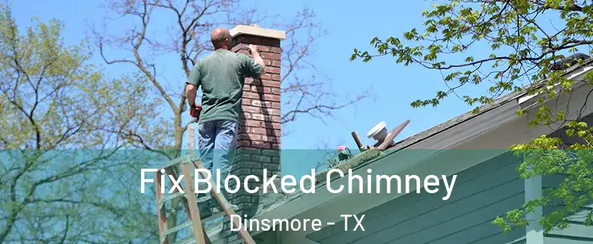 Fix Blocked Chimney Dinsmore - TX