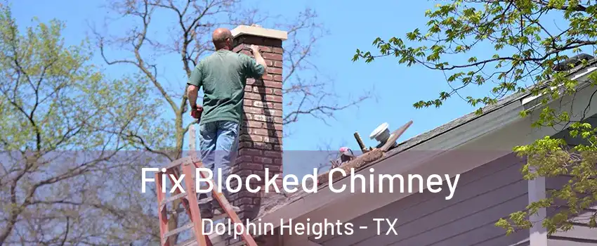 Fix Blocked Chimney Dolphin Heights - TX