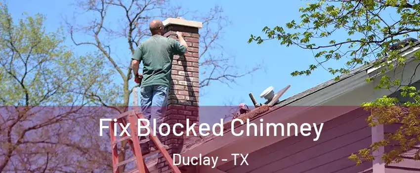 Fix Blocked Chimney Duclay - TX