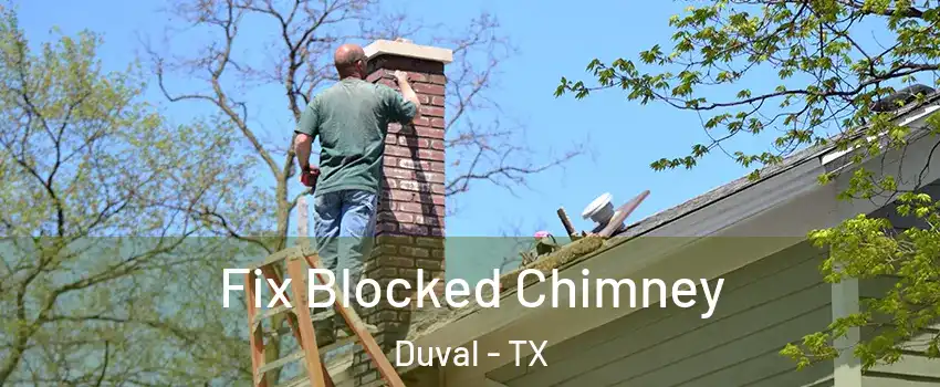 Fix Blocked Chimney Duval - TX