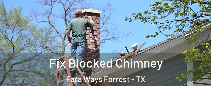 Fix Blocked Chimney Fara Ways Forrest - TX