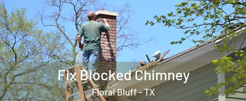 Fix Blocked Chimney Floral Bluff - TX