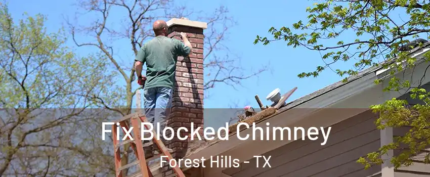 Fix Blocked Chimney Forest Hills - TX