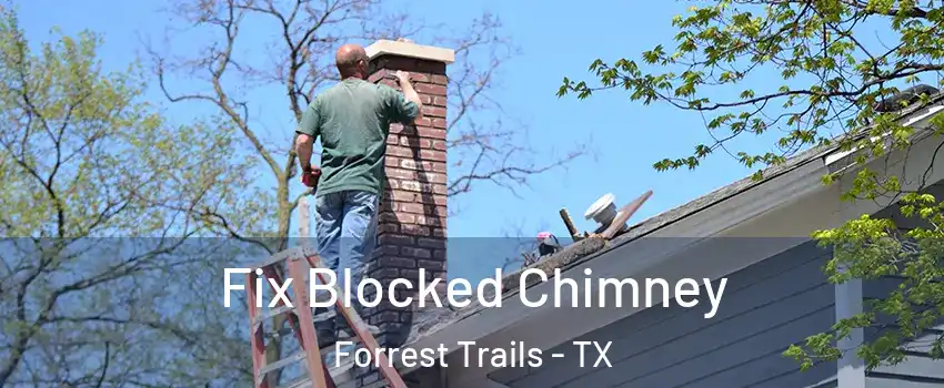 Fix Blocked Chimney Forrest Trails - TX