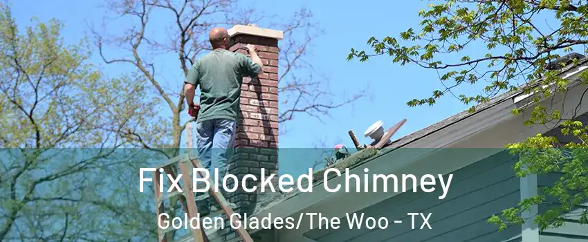 Fix Blocked Chimney Golden Glades/The Woo - TX