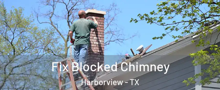 Fix Blocked Chimney Harborview - TX